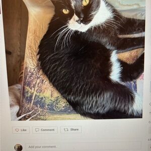 Closet Clear Out. % 50% off closet